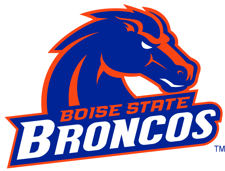 Boise State Broncos 2002-2012 Secondary Logo v13 diy DTF decal sticker